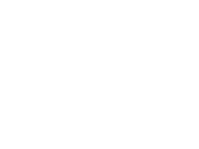 AT United Airlines