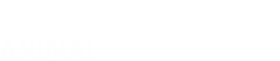animal gourmet