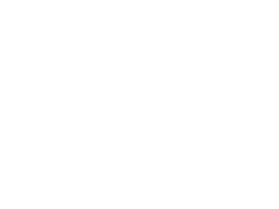AT Bornos