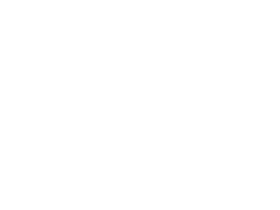 il forno del gatto
