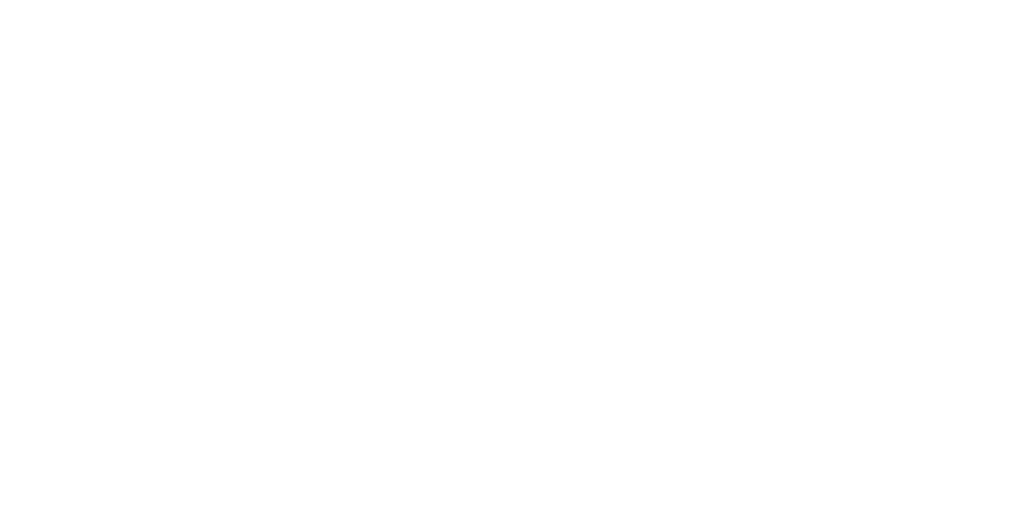 TAINA