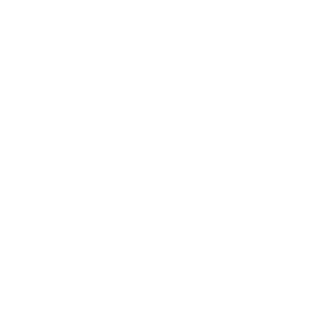 terra salvador vinicola